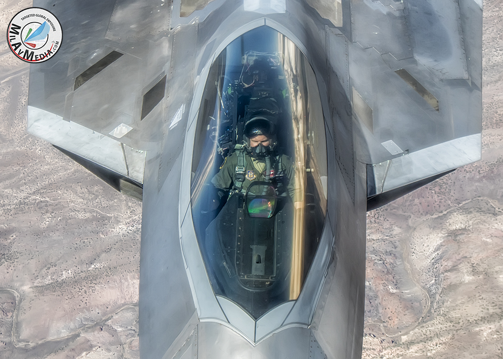 f22 cockpit for qce vombat